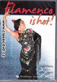 DVD: Flamenco - Dance Today