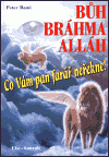 Bůh, Brahma, Alláh / Co vám pan farář neřekne  