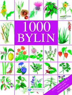 1000 BYLIN - posledný kus