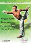 DVD: Vinyása flow jóga pro pokročilé