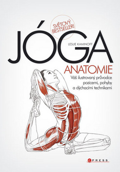 Jóga: Anatomie