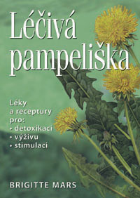 Léčivá pampeliška